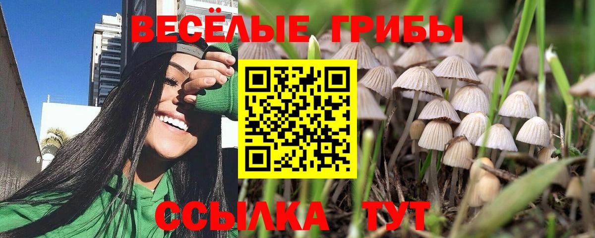 Псилоцибиновые грибы MAGIC MUSHROOMS  Вход с VPN  Псилоцибиновые грибы GOLDEN TEACHER  Алатырь 